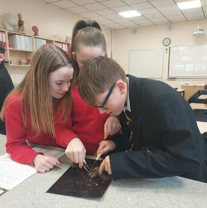 News » Princethorpe Shines The Spotlight On Science